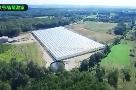 纹洛型玻璃温室从建造到蔬菜种植过程视频