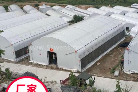 菌类养殖黑白膜养蚕大棚